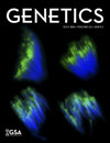 Genetics雜志