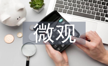 微觀會計政策選擇