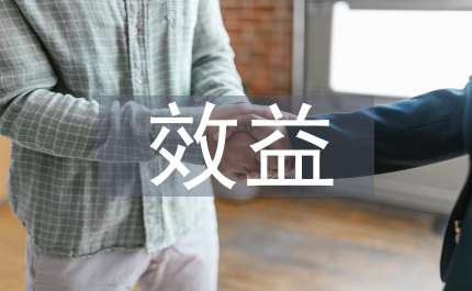 電子政務(wù)效益管理