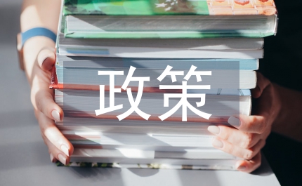 補充醫(yī)療保險政策