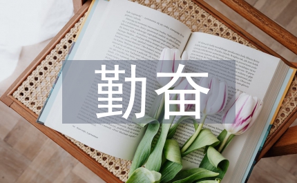 后備干部勤奮申報(bào)材料