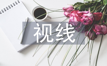 西班牙視線實習(xí)報告
