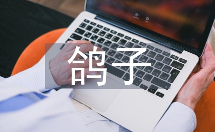 喂鴿子