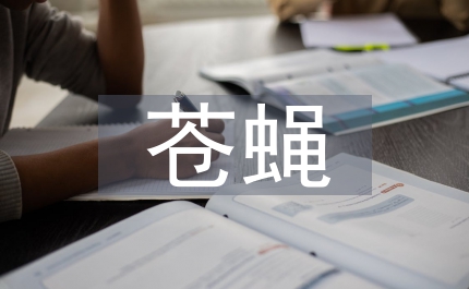 愛上五百只蒼蠅
