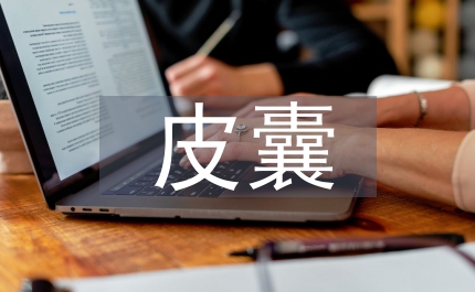 我的華麗皮囊