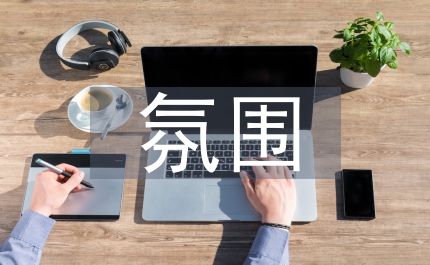 小議我國電子商務(wù)氛圍下的網(wǎng)上支付方式