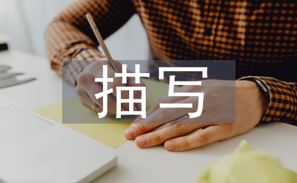 描寫人物的成語