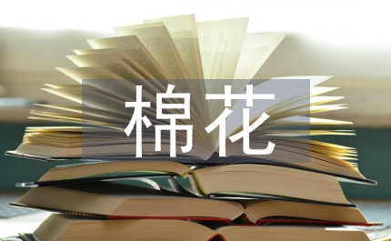 棉花加工資格市場管理細則