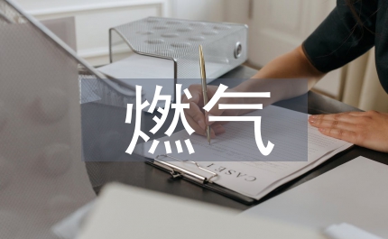 燃?xì)獍踩圆樽约m報(bào)告