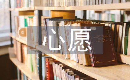 微心愿活動(dòng)總結(jié)