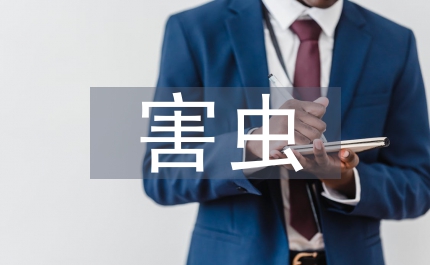 淺談白菜害蟲(chóng)的防治對(duì)策