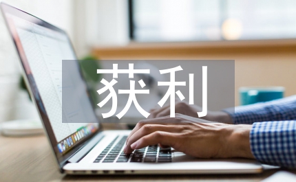 企業(yè)戰(zhàn)略管理中獲利分析論文