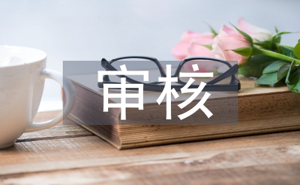 審核崗位實習(xí)個人總結(jié)