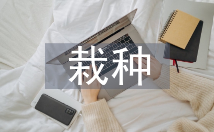 小議菜刀豆優(yōu)質(zhì)高產(chǎn)栽種技術(shù)