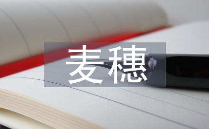 最大的麥穗作文