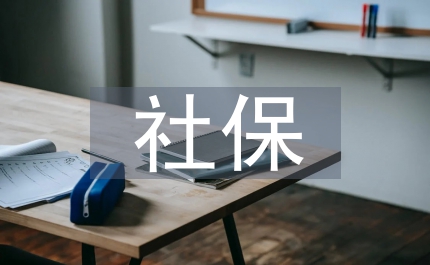 社保統(tǒng)計工作總結
