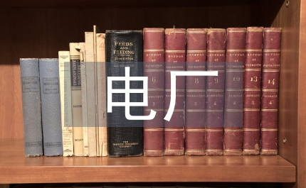 電廠宣傳工作計(jì)劃