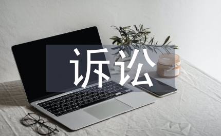 訴訟理論論文