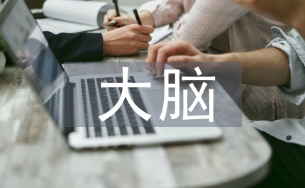 大腦結(jié)構(gòu)