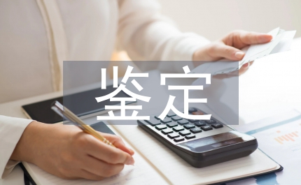 新產(chǎn)品鑒定報(bào)告