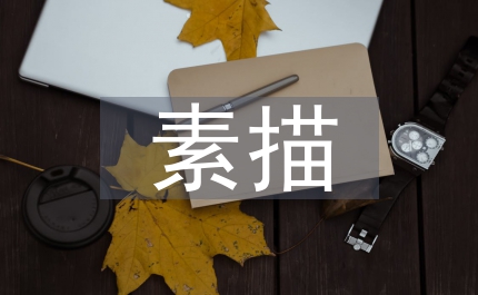 素描教學(xué)體現(xiàn)思考