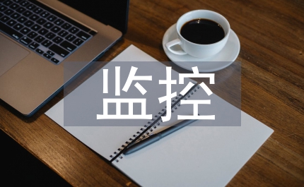 稅源監(jiān)控計算機崗位專業(yè)主管演講答辯
