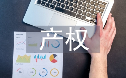 國際投資同知識產(chǎn)權(quán)的思考論文