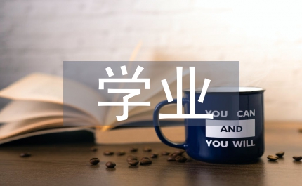 職業(yè)教育學(xué)業(yè)評(píng)價(jià)體系的問(wèn)題