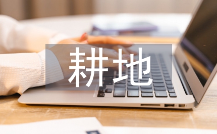 耕地非糧化整治方案