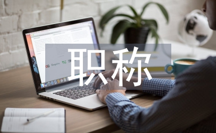 高校教師職稱評(píng)審制度完善探究