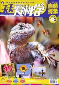 中國縣域衛(wèi)生