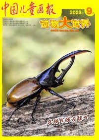 中國兒童畫報(bào)雜志