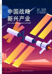 中國戰(zhàn)略新興產(chǎn)業(yè)